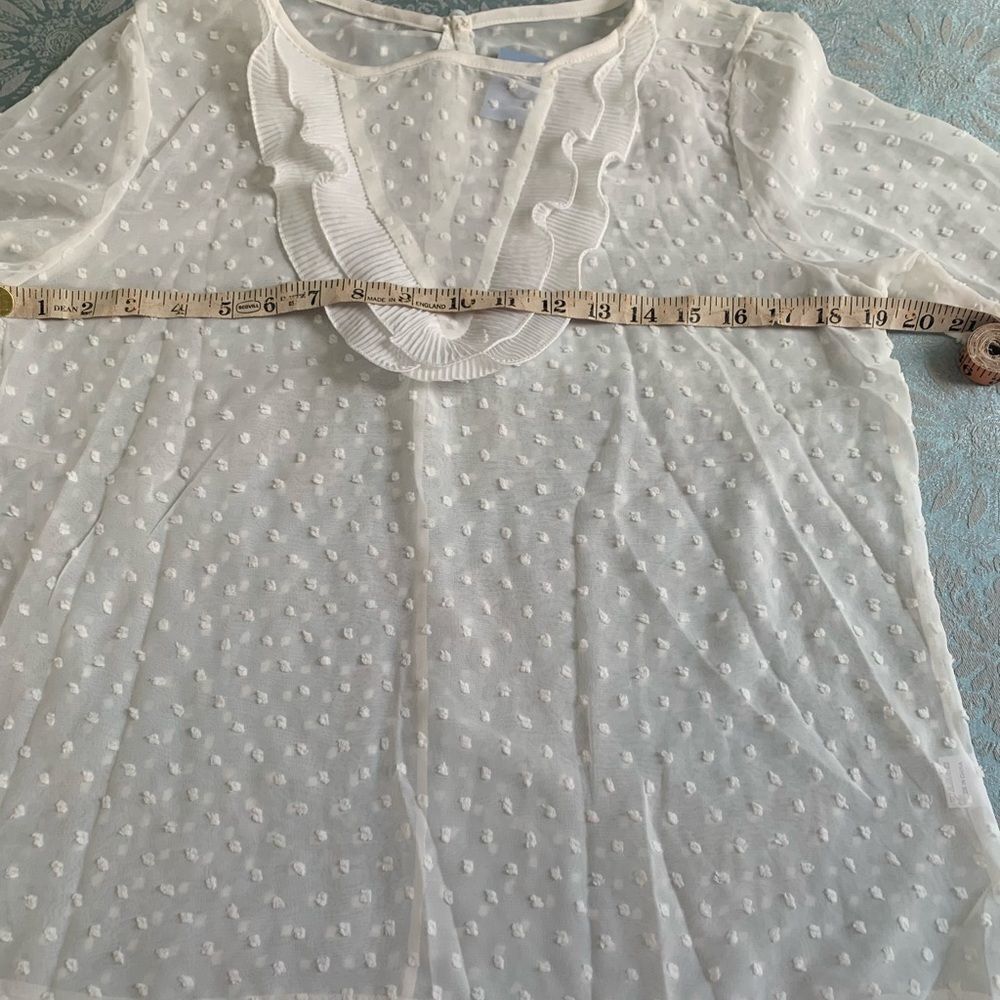 Beautiful Sheer Blouse - Picture 6 of 7